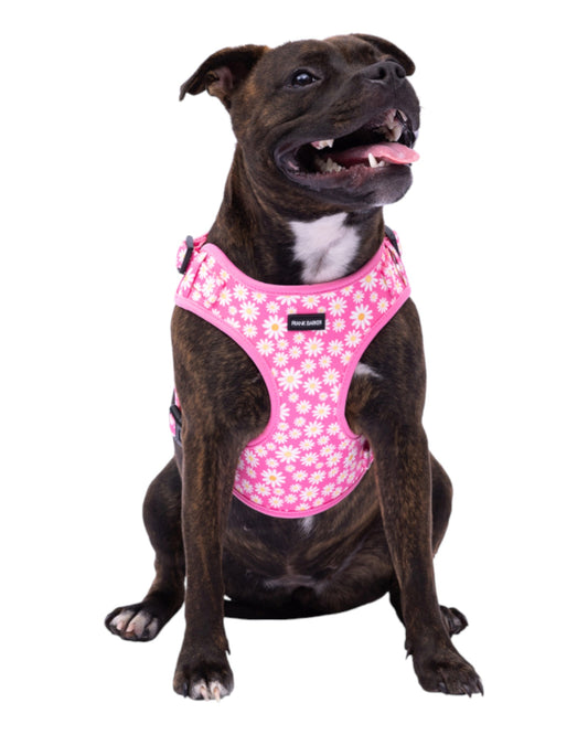Pink Daisies Harness