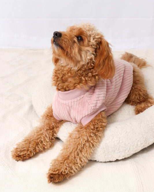 Velvet Lined Pink Corduroy Coat