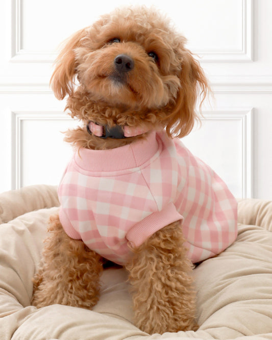 Velvet Lined Pink Gingham Coat