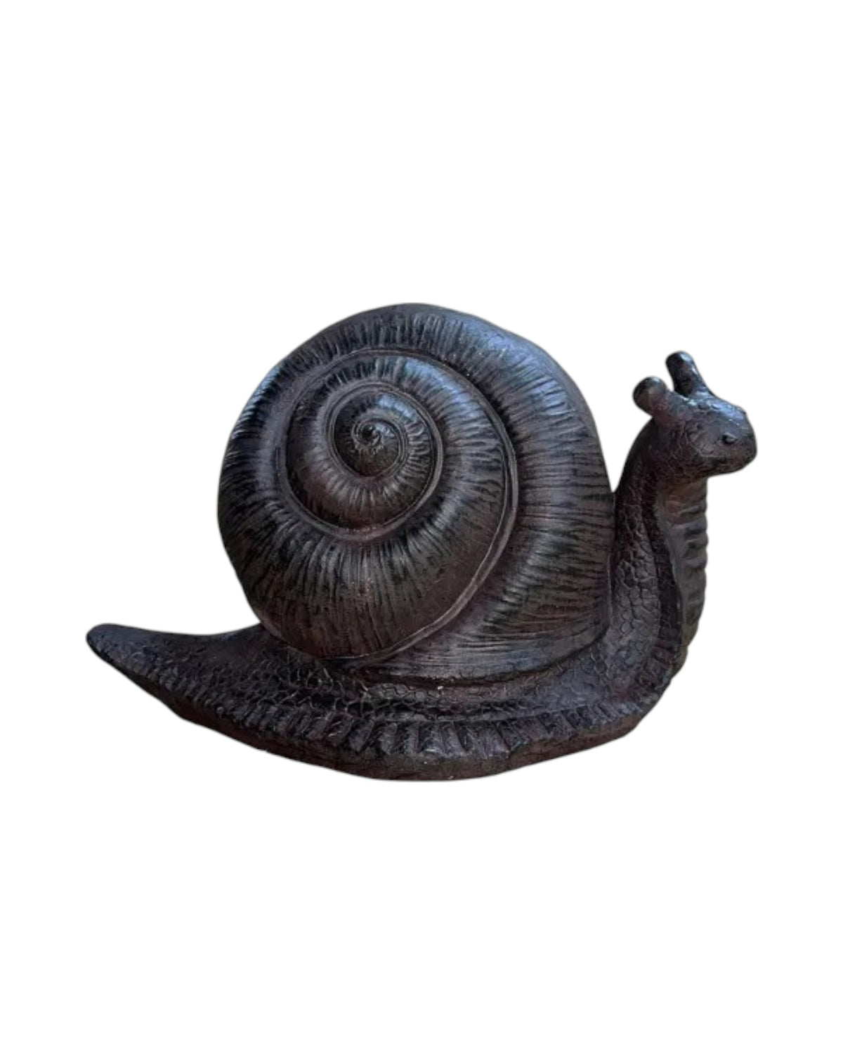 Snail