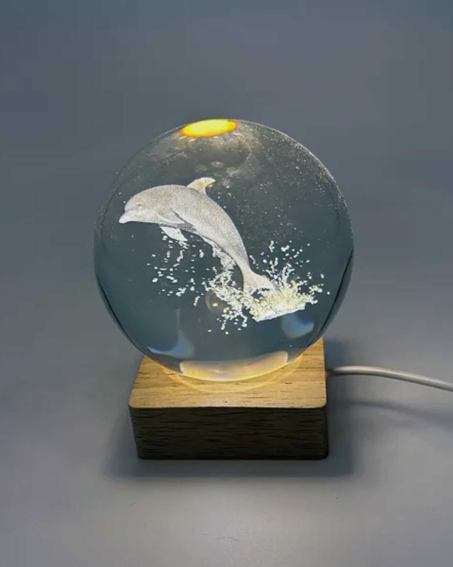 Dolphin Crystal Ball with Light
