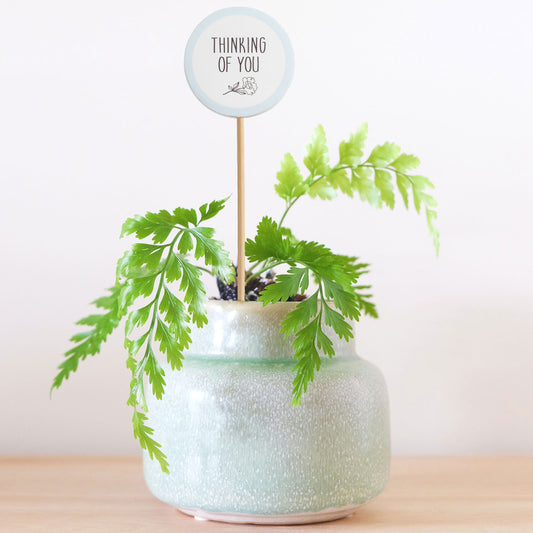 Home Grown Thinking Of You Plant Message