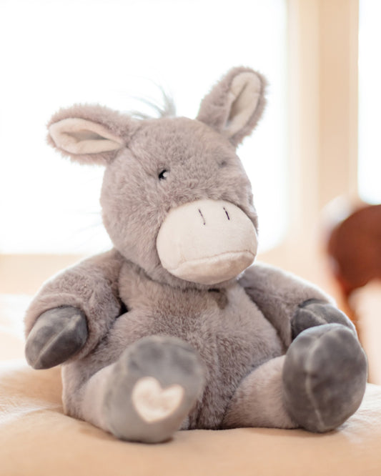 Toasty Hugs - Diego Donkey