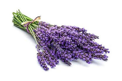 Sacred Elements Palo Santo Lavender Room Spray