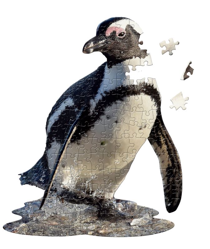 MaDD CaPP I AM LIL PENGUIN 100