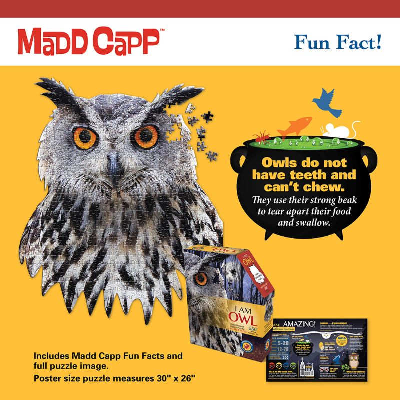 MaDD CaPP I AM OWL Puzzle 300