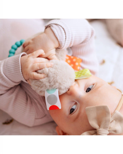 Taggies Molasses Sloth Teether Rattle