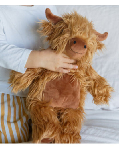 Hamish The Highland Cow