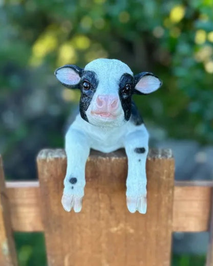 Calf Medium