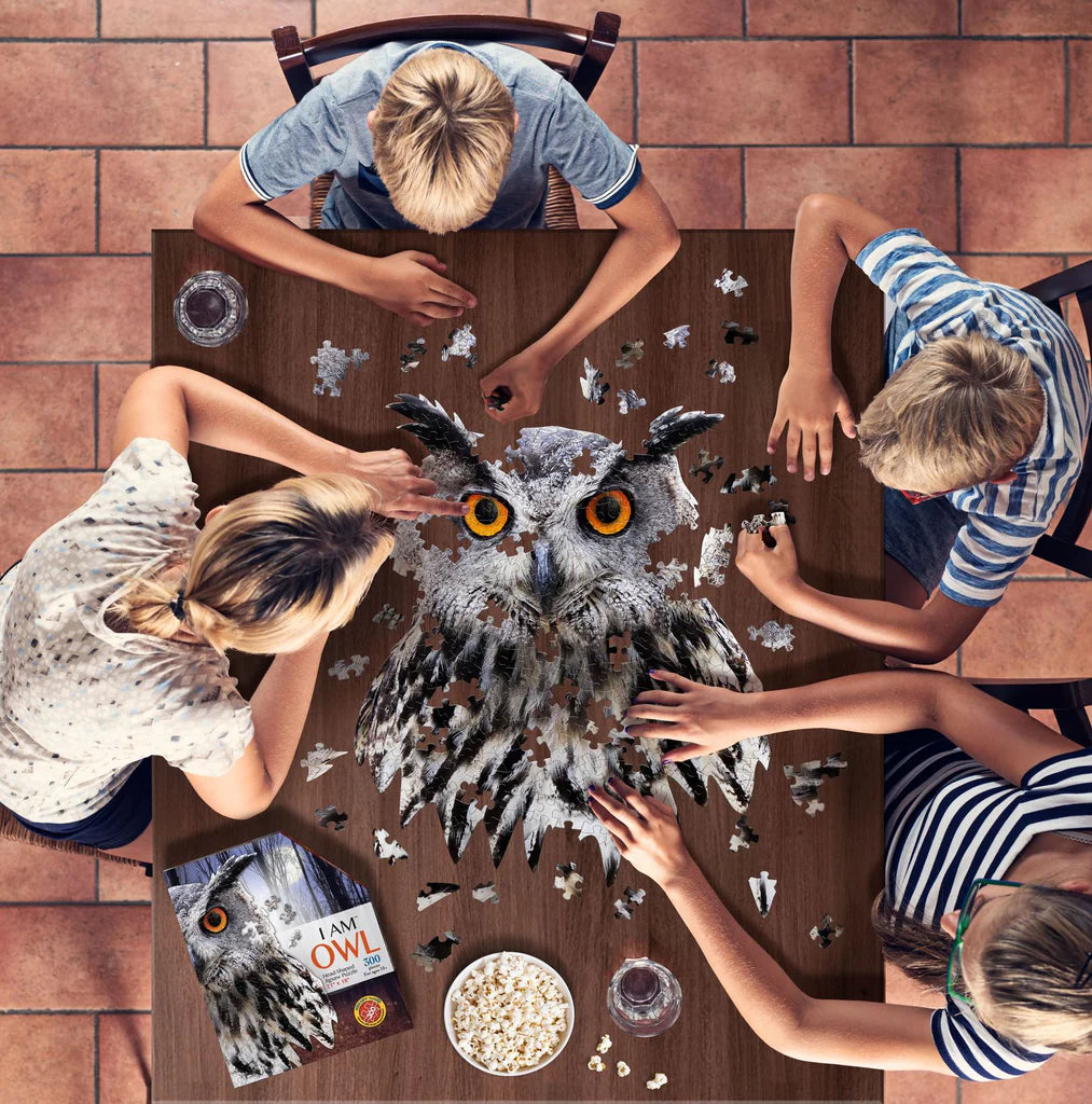 MaDD CaPP I AM OWL Puzzle 300