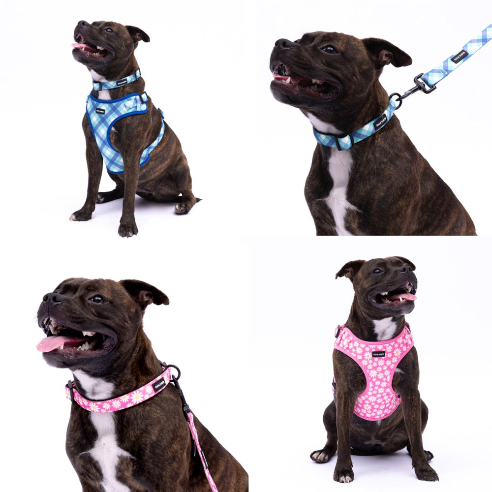 Pink Gingham Harness