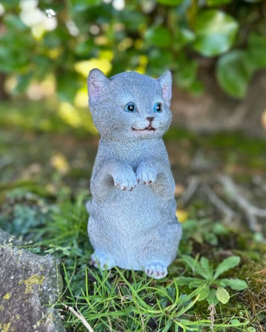 Grey Cat Small