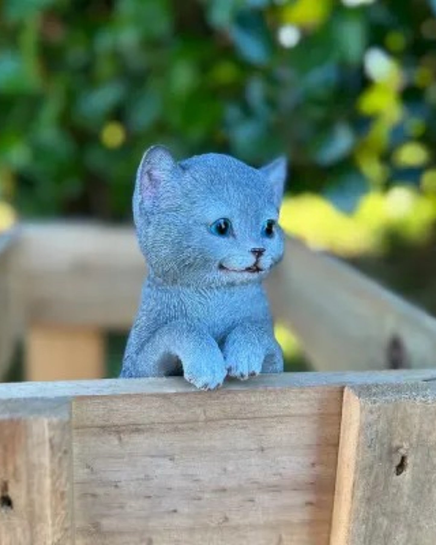 Grey Cat Small