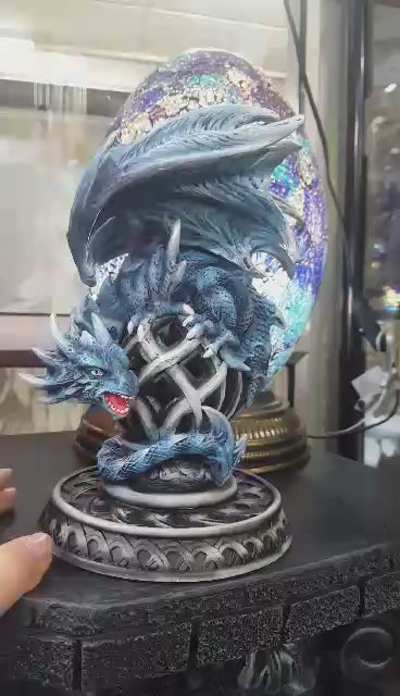 Dragon Coiled NEW!