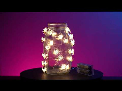 Axolotl LED String Light