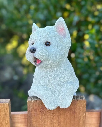 Westie