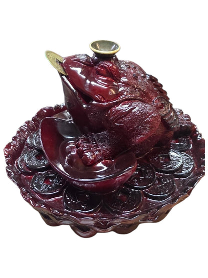 Feng Shui FrogBackflow