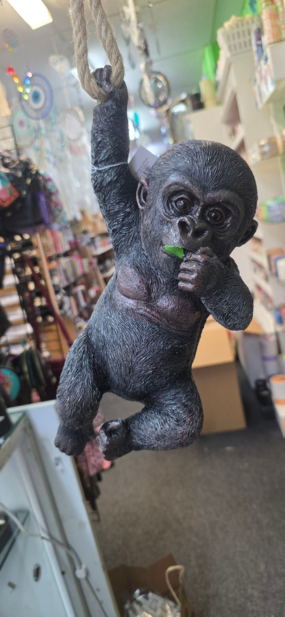 Hanging Black Baby Gorilla