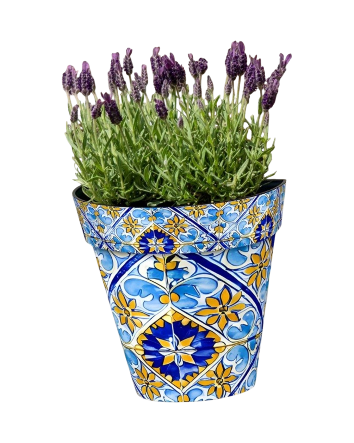 Zest Wall Pot Watercolour Seville
