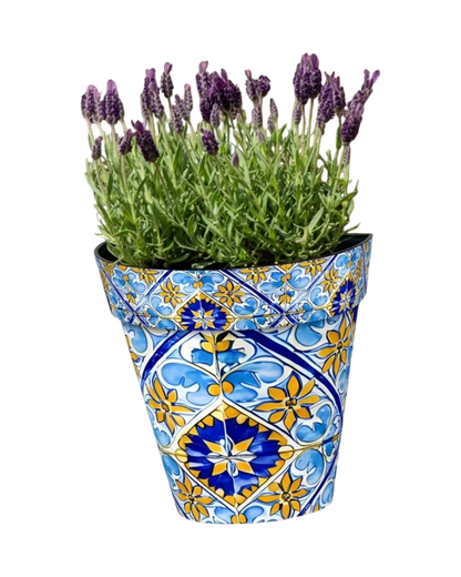 Zest Wall Pot Watercolour Seville