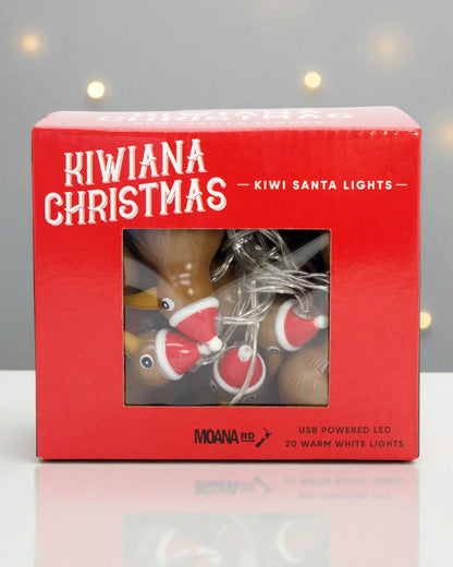 Kiwi Santa Lights