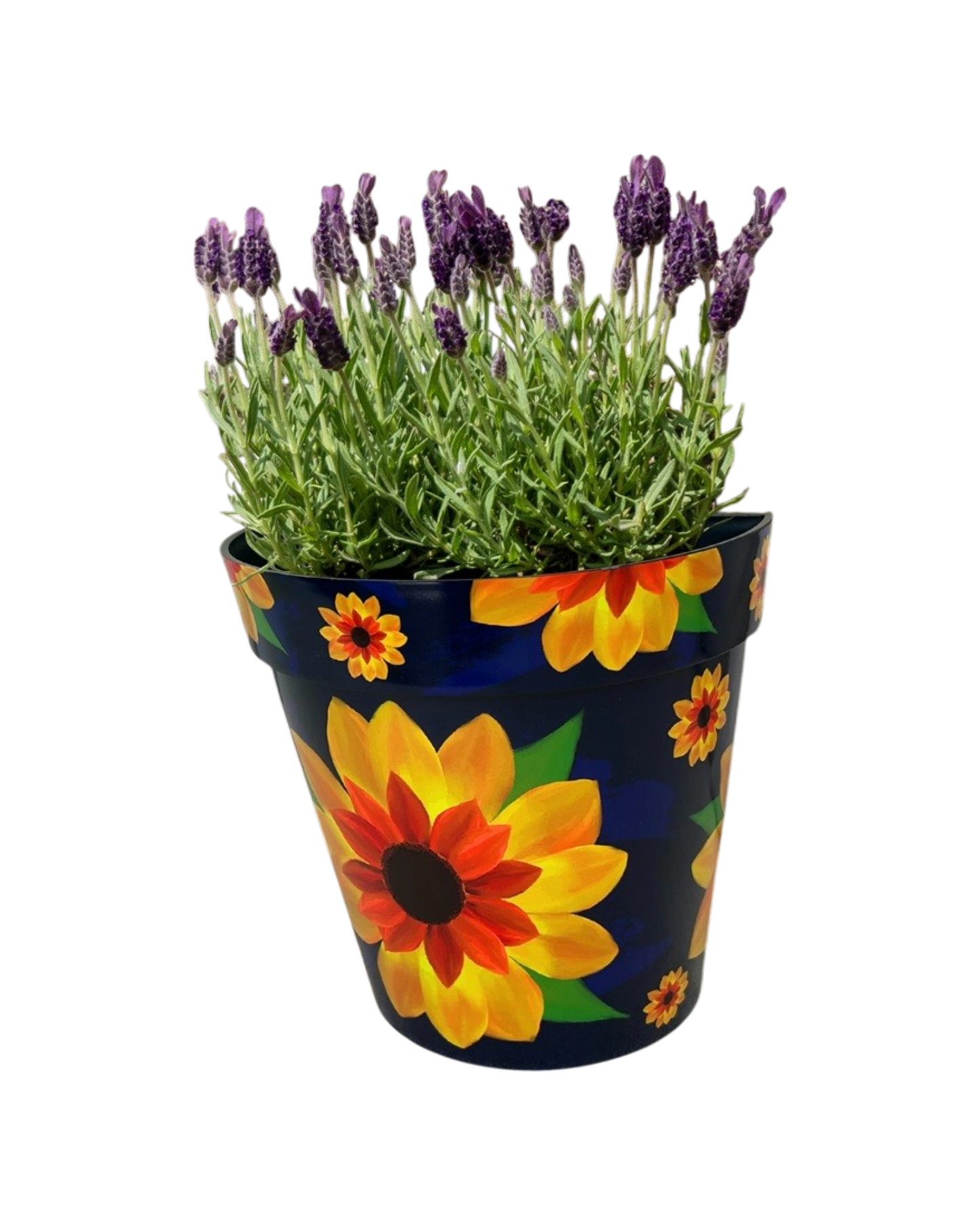Zest Wall Pot Sunflower