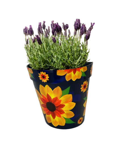 Zest Wall Pot Sunflower