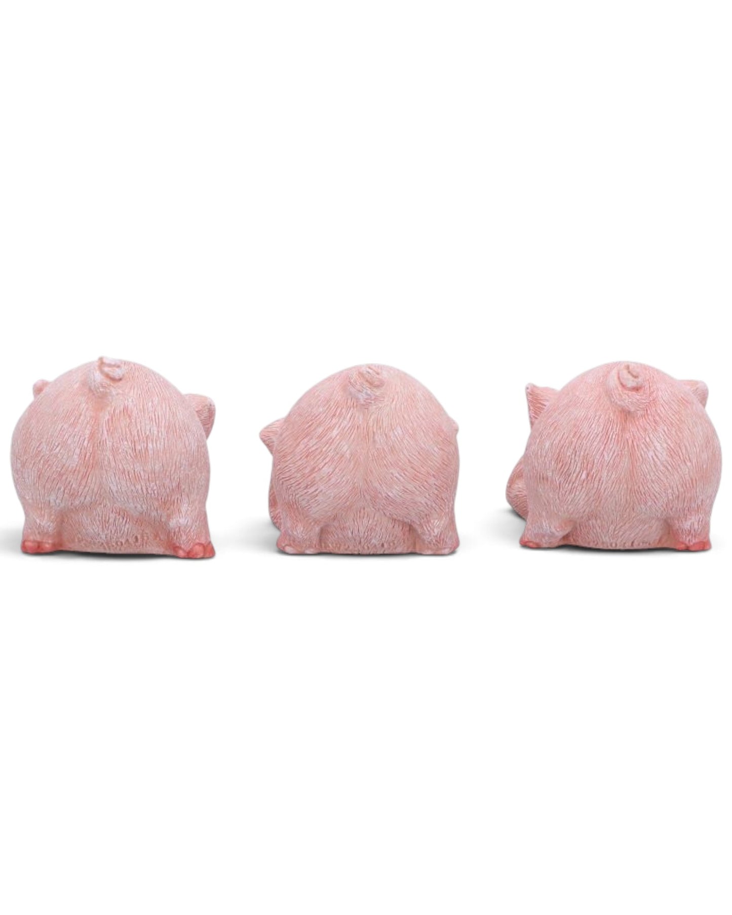 Nemesis Now Three Wise Playful Pigs