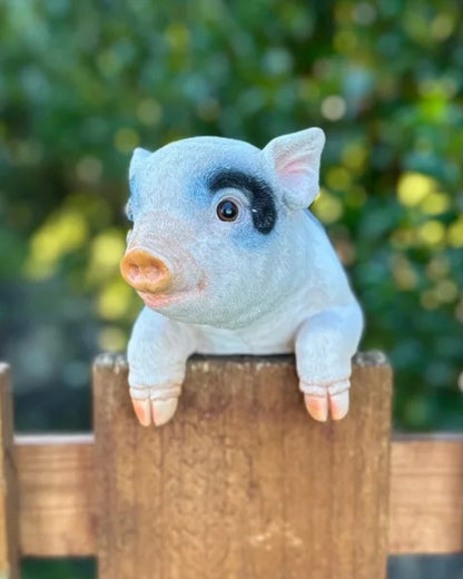 Piglet Medium
