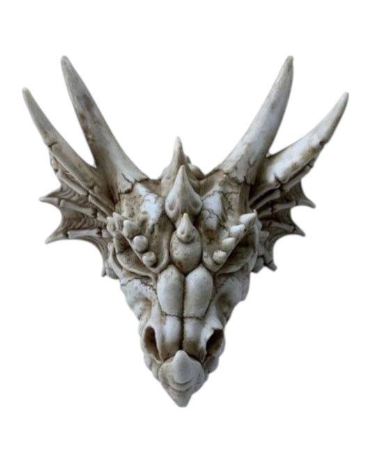 Shadows of Darkness Dragon Skull Money Box