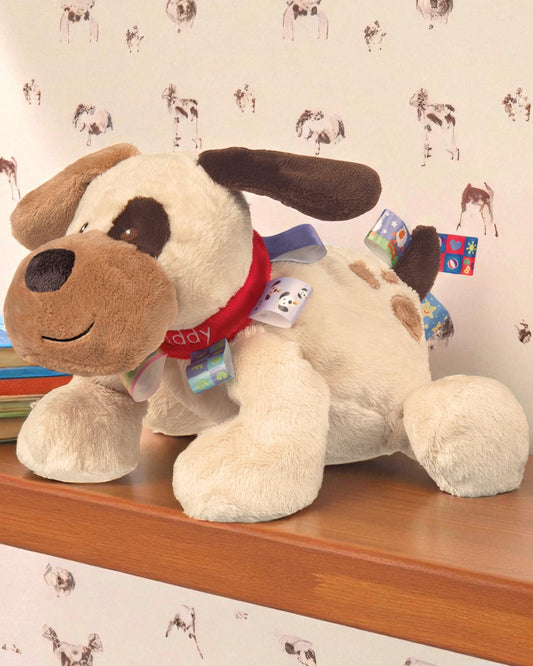 Taggies Buddy Dog Soft Toy