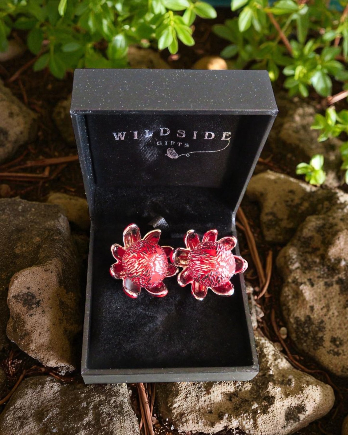 Waratah Flower Drop Earrings