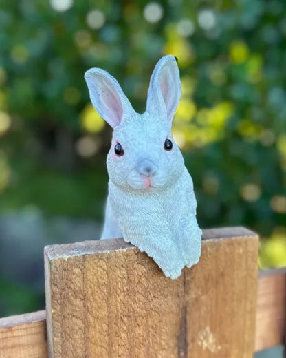 White Rabbit