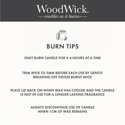 Woodwick Icy Woodland Trilogy Ellipse