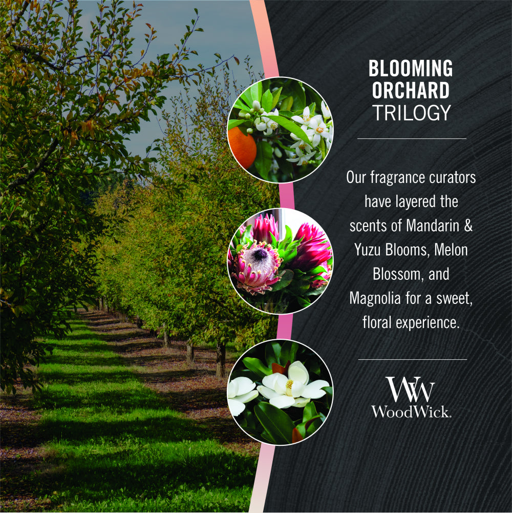 Woodwick Blooming Orchard Trilogy Ellipse