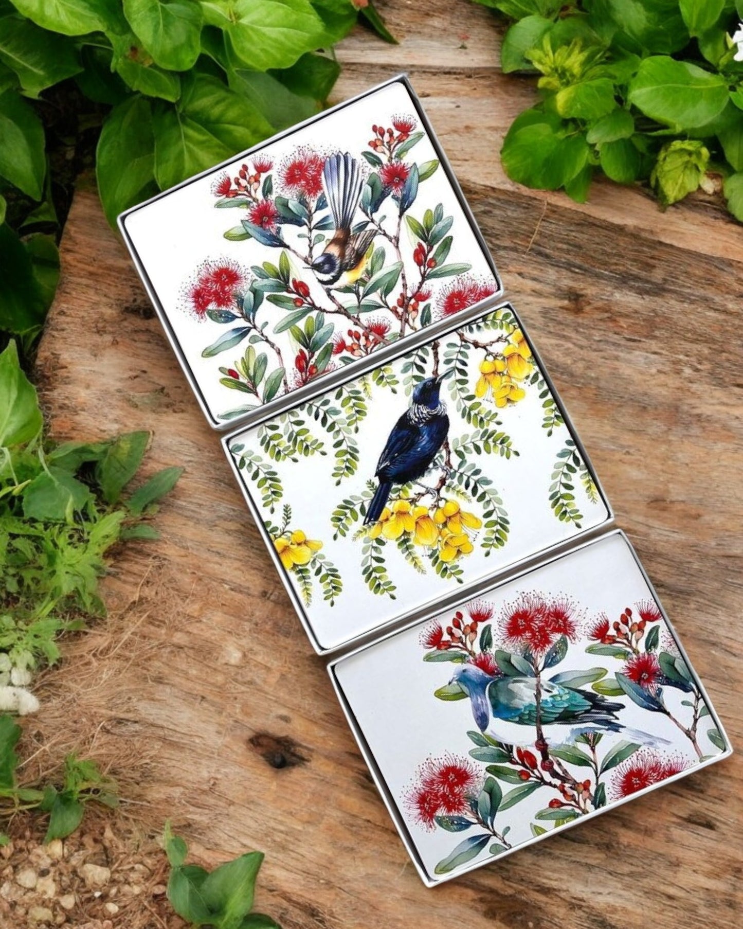 Cork Placemats Native Birds