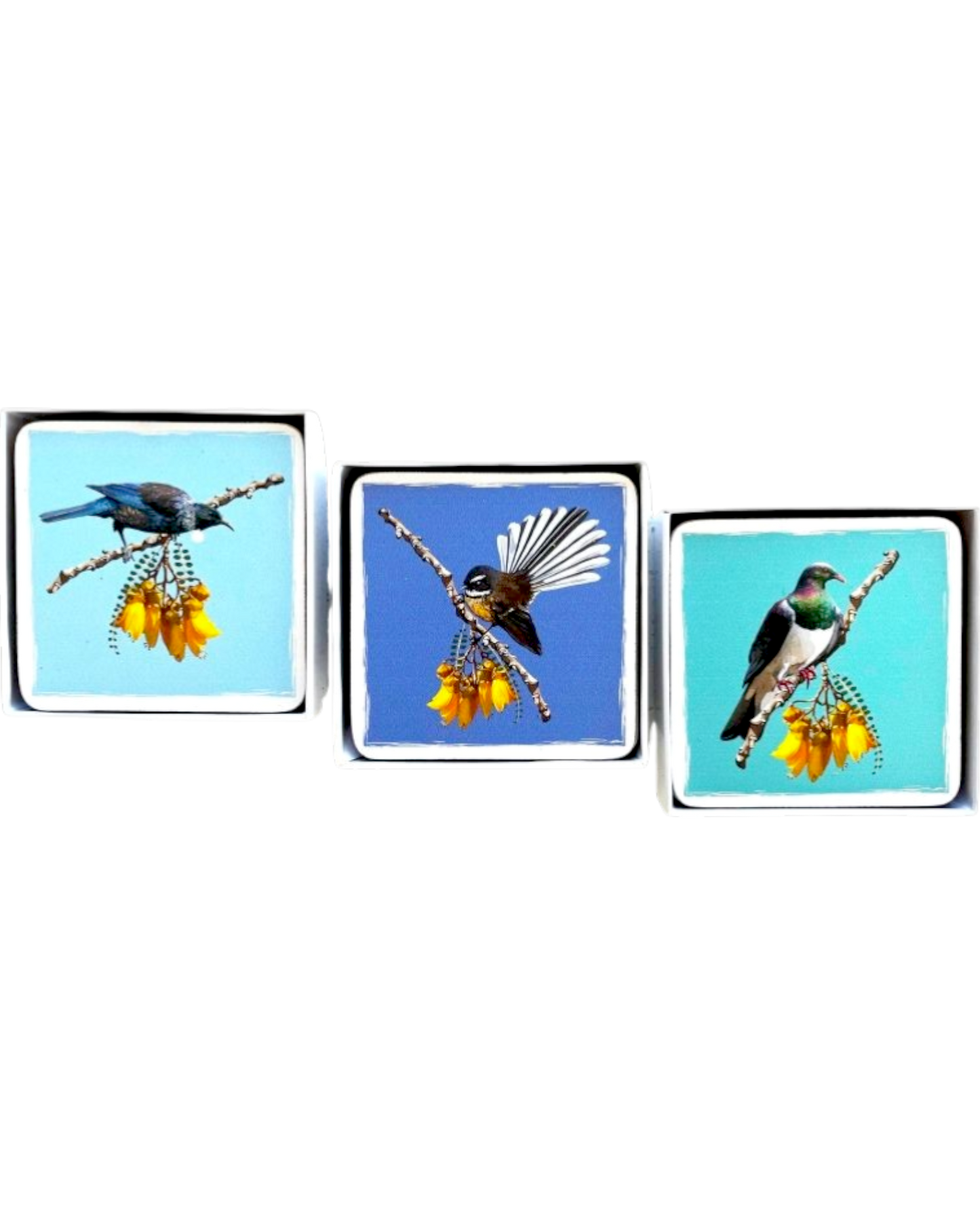 Cork Coasters Native Birds/Kowhai