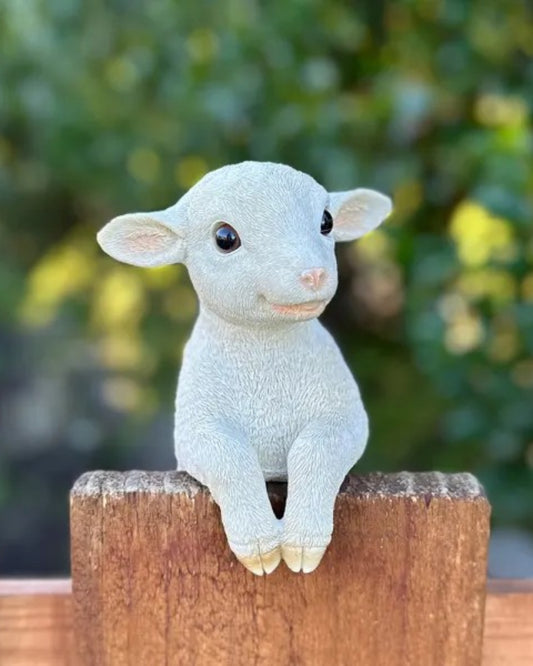 Lamb Medium