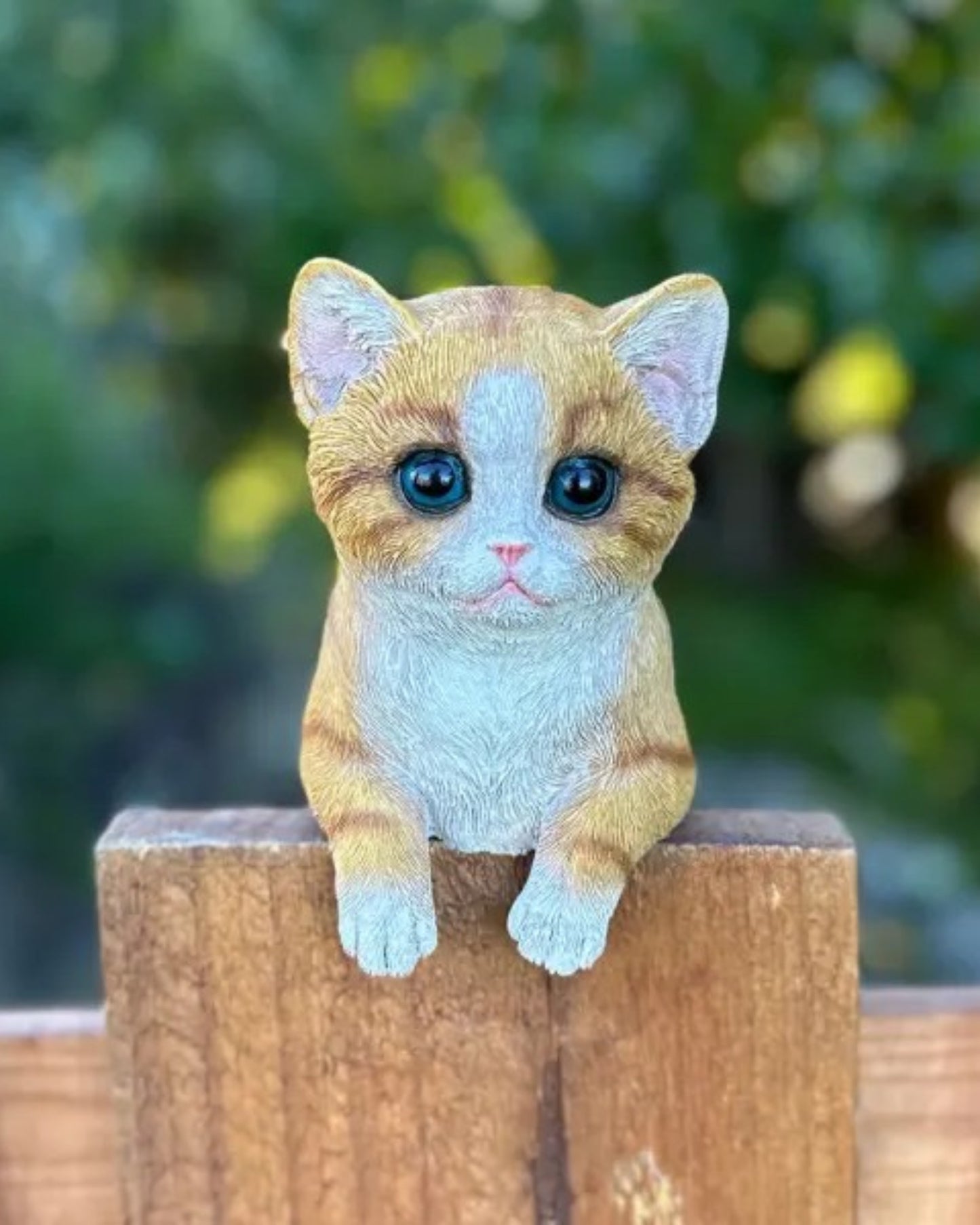 Ginger Cat