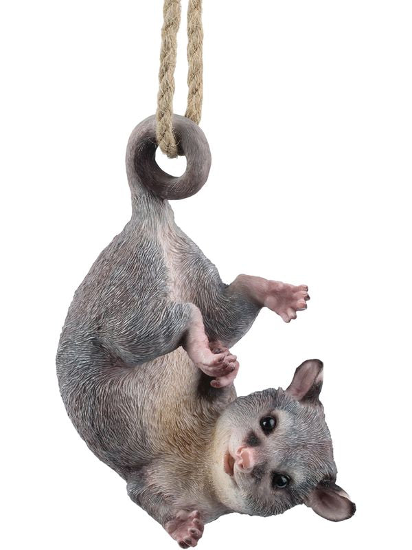 Hanging Ringtail Possum