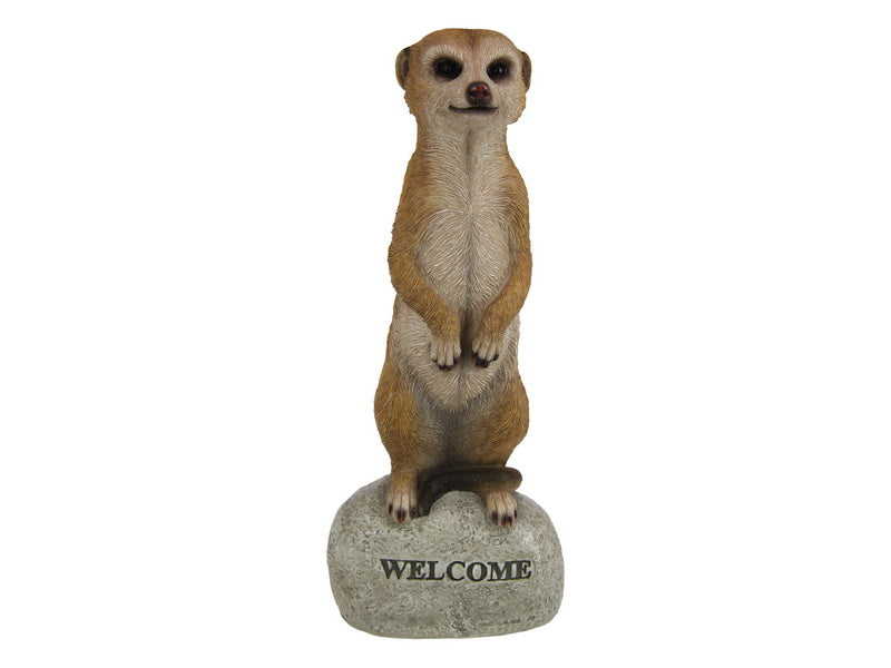 Standing Meerkat on Welcome Rock