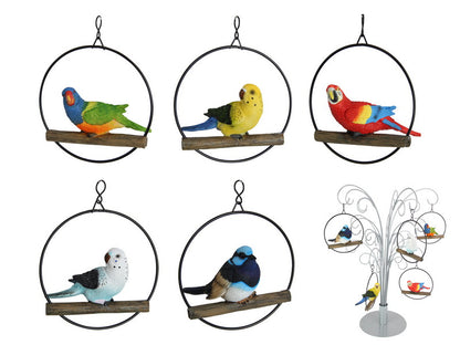 Birds in Rings hanging