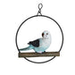Birds in Rings hanging