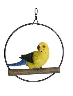 Birds in Rings hanging