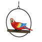 Birds in Rings hanging