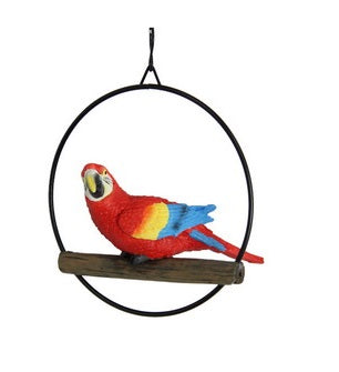 Birds in Rings hanging