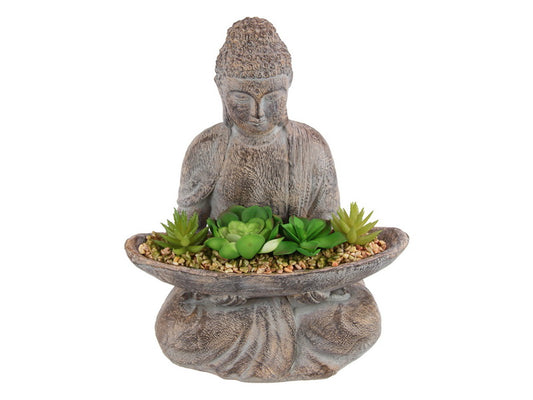 Buddha hold Succulents