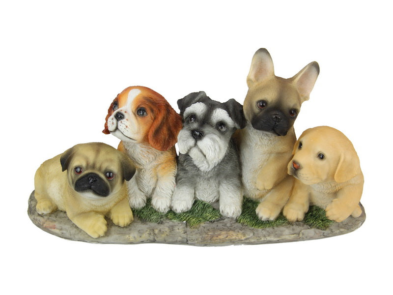 5 Dogs on Grass Base