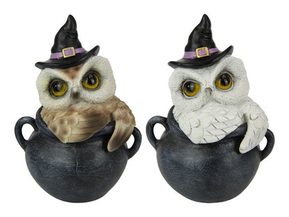 Owl in Cauldron Pot