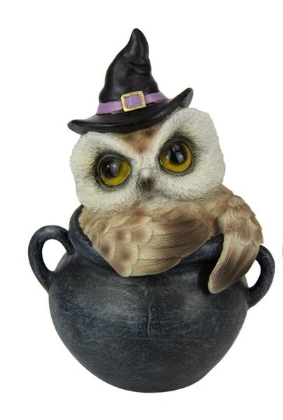 Owl in Cauldron Pot